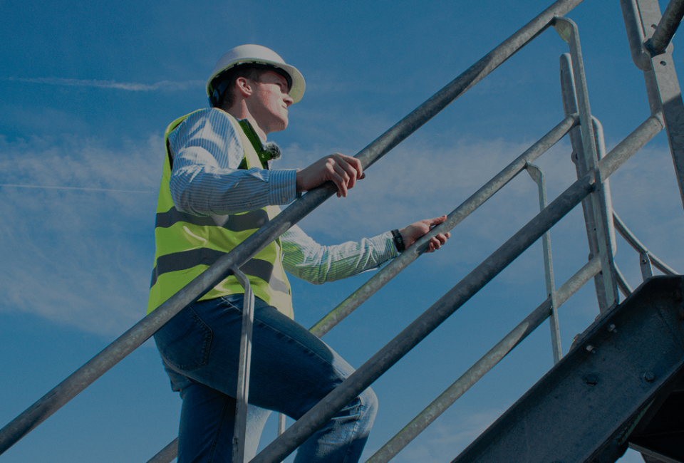 Petillion Materials Contact